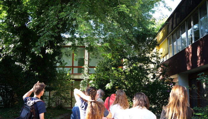 P1045240.JPG